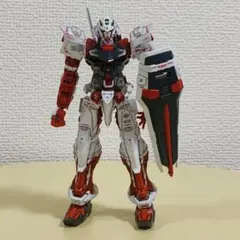 RG 1/144 MBF-P02 ガンダムアストレイレッドフレーム