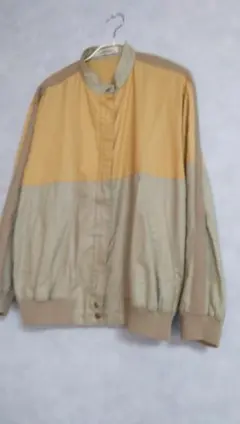 Item thumbnail for item 8066190e-7ba4-4018-85c4-831706aaa37f