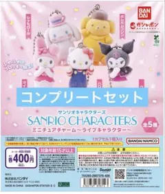 サンリオキャラクターズ ミニチュアチャーム～ライブキャラクター～