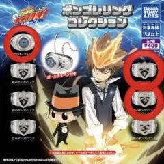 家庭教師ヒットマンREBORN！ボンゴレリングコレクション大空・雷・嵐3個セット