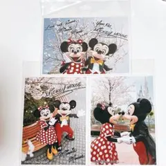 【期間限定値下げ】東京ディズニーリゾート ミッキー ミニー フォトセット