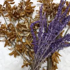 asami様 リクエスト 2点 まとめ商品