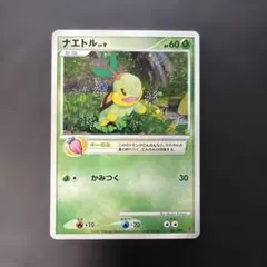 2026年最新】ナエトル 001/PPPの人気アイテム - メルカリ