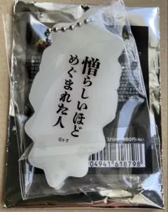 仮面ライダーアギト　トレーディング　なると　キーチェーン　キーホルダー　小沢澄子のサムネイル