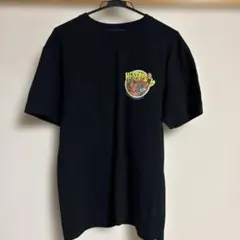 ハイスタ Hi-STANDARD staygold Tシャツ - メルカリ
