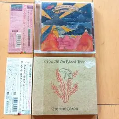 グレアム・コクソン　Graham Coxon 　レンタル品　２枚