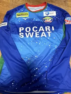 【激レア】徳島ヴォルティス　長袖シャツ 激レア】徳島ヴォルティス 長袖シャツ 激レア】徳島ヴォルティス 長袖