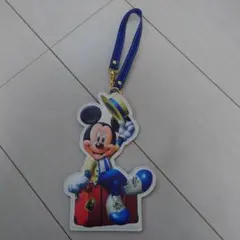 ディズニーバケーションパッケージパスケース