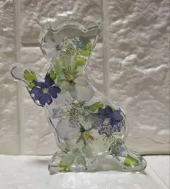 固まるハーバリウム ねこの中のお花畑