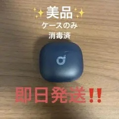 Anker soundcore p40i 充電ケースのみ ネイビー