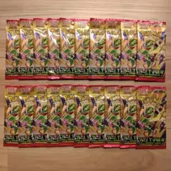 ストームエメラルダ【サーチ済み】未開封20パックセット