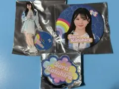 Item thumbnail for item 69bfb78e-76ac-4502-a803-7e9187d70d04