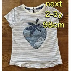 next Tシャツ 2-3y 98cm 半袖 アップリケ ネクスト トップス