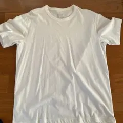 Item thumbnail for item 075ae0d8-d90b-4796-828e-4fa2351b9ab0