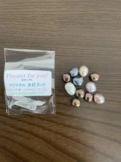 パール 11個セット おまけ付き