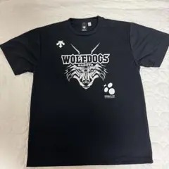 DESCENTE WOLFDOGS NAGOYA Tシャツ　4のサムネイル