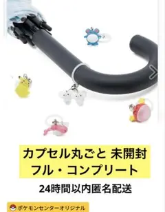 ポケモンセンター限定‼️めじるしアクセサリー2 コンプリートセット