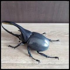 一番くじ昆虫　A賞　ネプチューンオオカブト　フィギュア　バンダイ　BANDAI