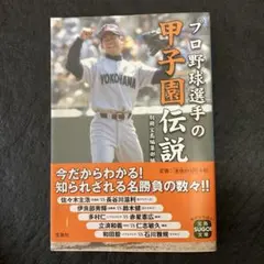 プロ野球選手の甲子園伝説のサムネイル