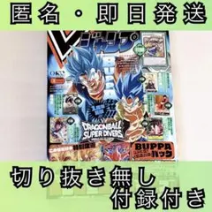 【付録付き】 Vジャンプ 1月特大号