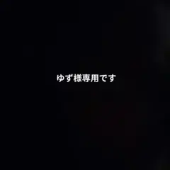 ゆず様専用 amiiboカード3枚セット