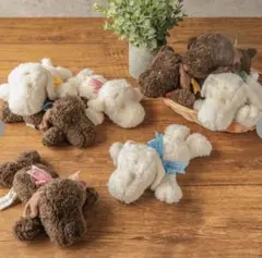 スヌーピーショコラ　ブラウン　6周年限定　ぬいぐるみ　SNOOPY スヌーピー