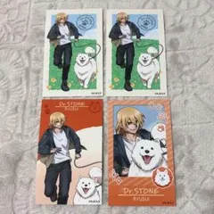 Dr.STONE ふぉとカードコレクション with Dogs ver. 龍水
