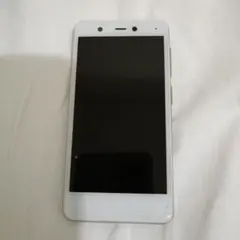 Item thumbnail for item 8635c684-a942-45f7-9de1-e179e40b3eb7