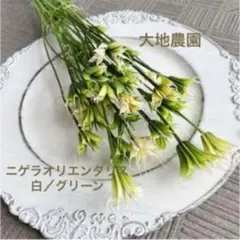 済　koko様　ご専用