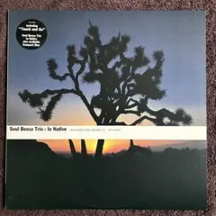 Soul Bossa Trio：In Native 12 アナログレコード