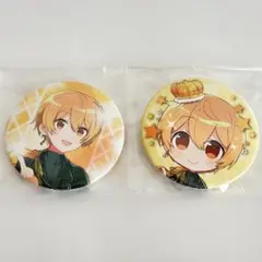 るぅと　缶バッジ　すとめも10