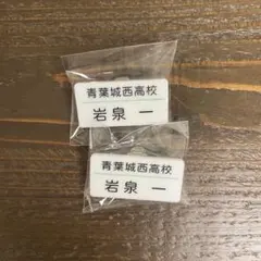 ハイキュー 名札クリップセレクション 岩泉