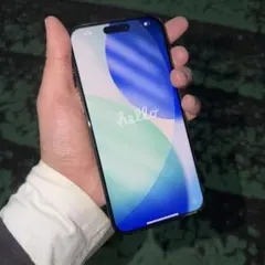 【希少・物理デュアルSIM】iPhone 15 Pro Max 512GB中国版