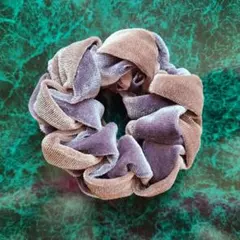 2025年最新】シュシュ accaの人気アイテム - メルカリ