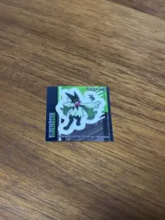 ポケモン スナック シール マスカーニャ アチゲータ ウェルカモ