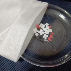 Item thumbnail for item 08224cff-603e-4d0a-b939-cc9518d3a29f