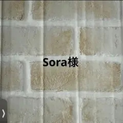 Sora様　子供用立体不織布マスク　使い捨て　個包装　120枚　便利　キッズ