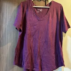 terra & sky パープル Vネック Tシャツ 0X