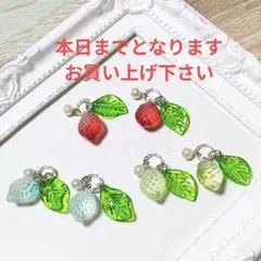 翠【プロフ必読】様 リクエスト 2点 まとめ商品　フォローおまとめ割り引き剤