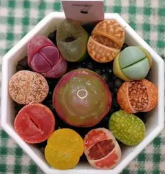 YK様 リクエスト 2点 まとめ商品