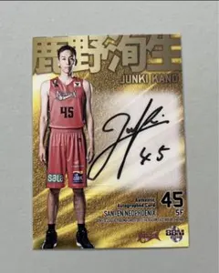 Item thumbnail for item f07010cb-18e5-4ab0-85f1-2c4099b7da9c