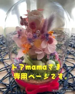 トアmama様専用ページです　カエル君のお昼寝