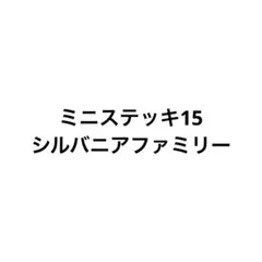 山様 リクエスト 2点 まとめ商品