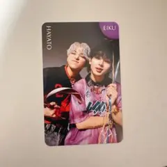 ONE N' ONLY AMAZONIA ペアトレカ