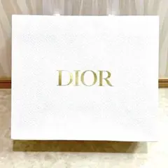 DIOR ディオール ショップ袋 ショッパー ホワイト ゴールドロゴのサムネイル