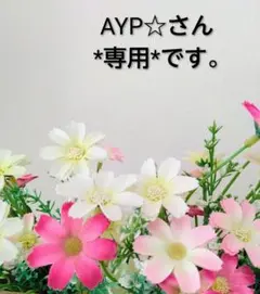 AYP☆プロフィール文は開いて読んで❣様 リクエスト 2点 まとめ商品