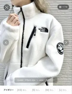 国内未発売THE NORTH FACEスタンドカラー ボアブルゾンリモ フリース