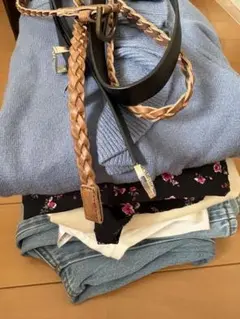ZARA チュール ボディスーツ ルネ・マグリット プリント - メルカリ
