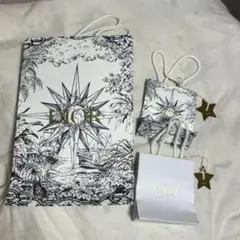Dior 2022年クリスマス限定デザインショッパー　大小　ノーマル小