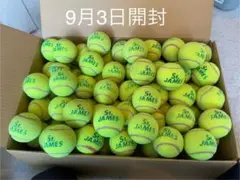 9月3日開封 即日発送　中古硬式テニスボール40球